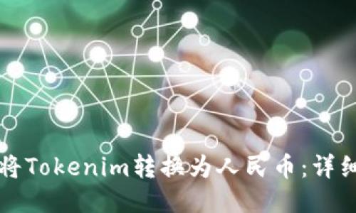 如何将Tokenim转换为人民币：详细指南