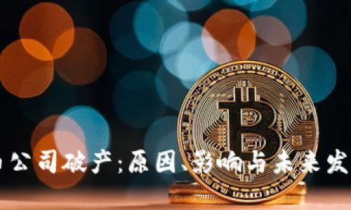 虚拟币公司破产：原因、影响与未来发展展望