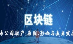虚拟币公司破产：原因、