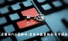 深度解析FLE虚拟币：未来