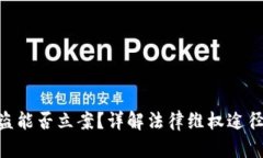 TokenIM被盗能否立案？详解