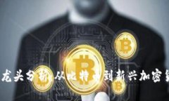 2023年虚拟币龙头分析：从