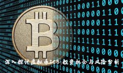 深入探讨虚拟币ICB：投资