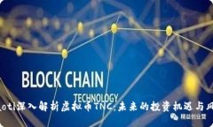 ziaoti深入解析虚拟币TNC：