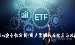 Tokenim安全性分析：用户需知的关键点与风险评估
