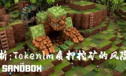 深入解析：Tokenim质押挖矿的风险与收益