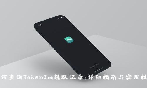 如何查询TokenIm转账记录：详细指南与实用技巧
