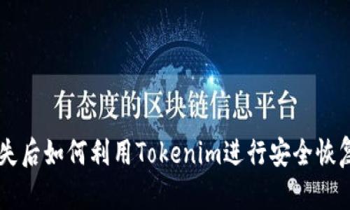 手机丢失后如何利用Tokenim进行安全恢复和防护