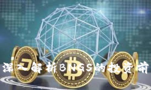 BNGS虚拟币：深入解析BNGS的投资前景与市场动态