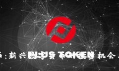太子虚拟币：新兴数字货