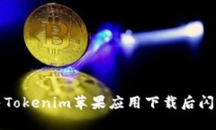如何解决Tokenim苹果应用下载后闪退的问题