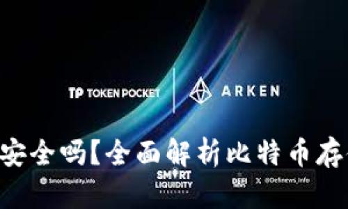 Tokenim存比特币安全吗？全面解析比特币存储的安全性与风险