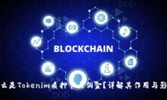 什么是Tokenim质押节点佣金？详解其作用与影响