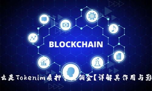 什么是Tokenim质押节点佣金？详解其作用与影响