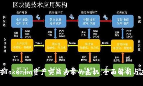 如何应对Tokenim资产突然为零的危机：全面解析与应对策略