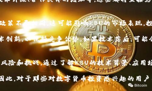    KBU虚拟币：全面解析KBU背后的价值与未来展望  / 
 guanjianci  KBU虚拟币, 数字货币, 加密货币, 投资分析  /guanjianci 

在当今数字化的时代，虚拟币已经成为全球金融市场的重要组成部分。KBU虚拟币作为一款新兴的加密货币，迅速引起了投资者和用户的关注。本文将对KBU虚拟币进行深入分析，揭示其背后的价值以及未来的潜在发展，并回答一些与KBU相关的重要问题。

### KBU虚拟币的起源与发展
KBU虚拟币的起源可以追溯到加密货币市场的快速发展，随着比特币和以太坊等领先币种的崛起，KBU应运而生。KBU虚拟币的开发团队致力于创建一个安全、高效且可扩展的去中心化平台，旨在为用户提供更加便捷的交易体验。

在初创阶段，KBU项目通过代币发行（ICO）吸引了大量投资者的关注。不同于传统的金融产品，KBU虚拟币的流通完全依赖于区块链技术，这不仅增强了交易的透明度，也提升了系统的安全性。早期的KBU用户主要集中在区块链技术的爱好者和投资者，随着市场的逐渐成熟，KBU开始逐步向更广泛的用户群体扩展。

### KBU虚拟币的技术基础
KBU虚拟币基于一种名为“XChain”的区块链技术，这种技术不仅具备了高效处理交易的能力，还能确保信息的不可篡改性。KBU团队在开发过程中充分考虑了安全性与用户体验，采用了多重签名和冷热钱包等安全措施，能够有效防止黑客攻击。

除了安全性外，KBU的交易速度也是其一大亮点。与传统的金融交易相比，KBU的交易处理时间较短，用户几乎可以实时完成交易。这样一来，用户无论是在进行小额支付，还是进行大额投资，都能享受便捷的服务。

### KBU的应用场景
KBU虚拟币的潜在应用场景非常广泛，涵盖了金融支付、电子商务、资产管理等多个领域。在金融支付方面，KBU可以作为一种支付手段，允许用户在全球范围内进行快速、低成本的跨境支付。在电子商务领域，越来越多的商家开始接受KBU作为支付方式，用户可以利用KBU进行在线购物。

此外，KBU还可以用于资产管理和投资。例如，用户可以将其虚拟币存入不同的数字钱包中，通过持有KBU获取收益，或者利用KBU参与投资项目。这使得KBU不仅仅是一种货币，更是一种理财工具。

### KBU虚拟币的投资价值
KBU虚拟币的投资价值受多种因素影响，其中包括市场需求、技术发展和政府政策等。随着数字货币市场的日益成熟，用户对KBU的需求不断增加，这为其投资价值提供了基础。此外，KBU团队不断推动技术创新，以提升其在市场中的竞争力。

然而，投资KBU虚拟币也面临一定风险。例如，加密货币市场波动性大，投资者需要对市场动态保持敏感，以避免可能的损失。为了降低风险，投资者可以通过多样化投资组合来分散潜在的亏损。

### 可能相关问题
#### KBU虚拟币安全吗？
关于KBU虚拟币的安全性，投资者需要了解其背后的技术基础和安全机制。KBU采用了多重签名和冷热钱包等安全措施，提供了较为全面的安全保障。然而，用户在使用KBU时也需要格外小心，例如，避免在不安全的网络环境中进行交易，定期更新钱包密码等。

#### 如何购买KBU虚拟币？
购买KBU虚拟币的途径主要有两个：通过交易所或直接参与ICO。用户可以选择在信誉良好的加密货币交易所进行交易，注册账户后，就可以通过法币或者其他数字货币购买KBU。此外，用户也可以关注KBU的官方公告，查看是否有新的ICO计划，参与首次代币发行。

#### KBU的未来发展趋势是怎样的？
KBU虚拟币的未来发展趋势主要取决于市场需求和技术进步。随着区块链技术的不断演进，KBU有望在更多的领域得到应用。特别是在金融科技和电子商务等领域，KBU有潜力成为更具竞争力的货币。

#### 如何评估KBU虚拟币的投资价值？
评估KBU虚拟币的投资价值，需要考虑多个因素，包括市场趋势、技术创新、团队实力等。投资者可以定期关注KBU项目的最新动态，如技术升级、合作伙伴的增加等，这些都将直接影响KBU的市场价值。此外，投资者还可以通过分析市场数据，制定合理的投资策略。

### KBU虚拟币的风险与挑战
尽管KBU虚拟币具备很多优势，但其在发展过程中也面临不小的挑战。其中，政策监管就是一个重要因素。各国政府对加密货币的监管政策不尽相同，这可能影响KBU的市场表现。投资者需要关注相关法规的变化，以调整相应的投资策略。

此外，KBU项目的技术发展也是影响其价值的关键因素。随着区块链技术的进步，竞争对手也在不断增加，这要求KBU团队及时进行技术创新，以保持竞争优势。如果技术落后，可能会丧失市场份额，对投资者造成损失。

### 结束语
综上所述，KBU虚拟币作为一种新兴的数字货币，具备了众多的优势和潜力。然而，投资者在进入KBU市场时，亦需清醒认知其所面临的风险和挑战。通过了解KBU的技术背景、应用场景以及市场动态，投资者可以更好地评估其投资价值，实现财富的保值与增值。

未来，KBU虚拟币还有很大的发展空间，随着人们对数字资产的逐渐认知，KBU可能会在更多的商业活动和日常交易中扮演重要角色。因此，对于那些对数字货币投资感兴趣的用户而言，KBU无疑是一个值得关注的对象。