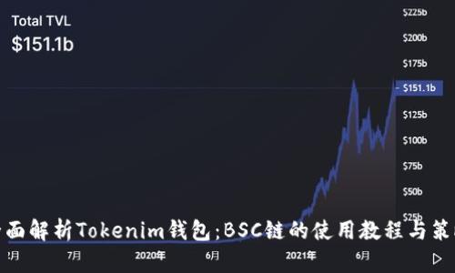 全面解析Tokenim钱包：BSC链的使用教程与策略