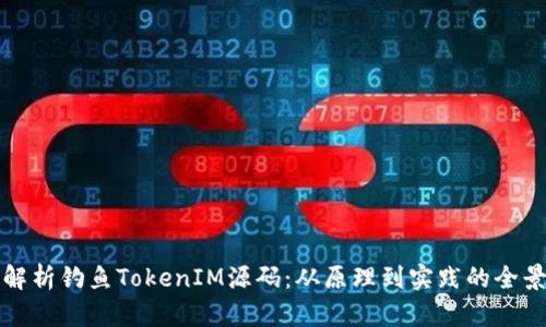 深入解析钓鱼TokenIM源码：从原理到实践的全景探讨