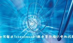 如何解决TokenimusDT提币等待确认中的问题