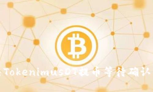 如何解决TokenimusDT提币等待确认中的问题