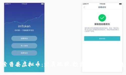 探索曹县虚拟币：发展现状、投资机会与未来趋势