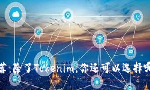  以太坊钱包推荐：除了Tokenim，你还可以选择哪些优秀的钱包？