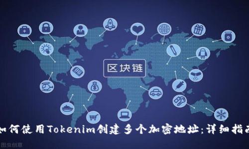 如何使用Tokenim创建多个加密地址：详细指南